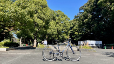 Sumida Y Profundo Asakusa: Cycle Tour & Day-Rent Gems