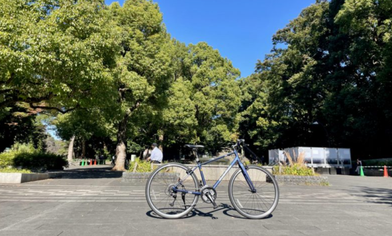 Sumida Y Profundo Asakusa: Cycle Tour & Day-Rent Gems